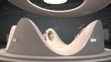 Capsule