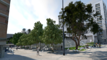 Amalia_Conservatoire_02