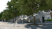 Amalia_Conservatoire_05