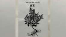 Amalia_Mada_27
