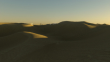 ParadeEnOr_02