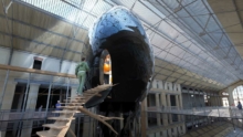 EggofKnowledge_03