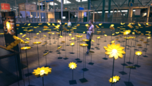 ElectricDay_35
