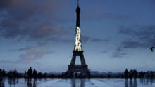RugbyCoupeDuMonde_02